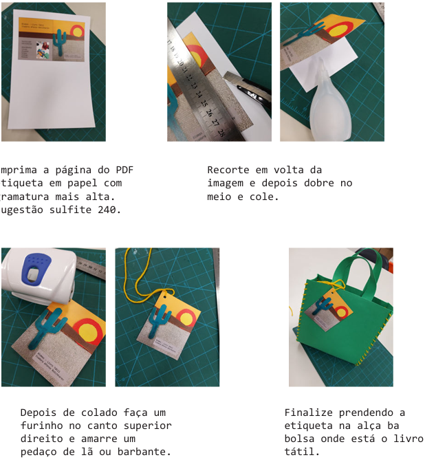 Biomas Livro Tátil